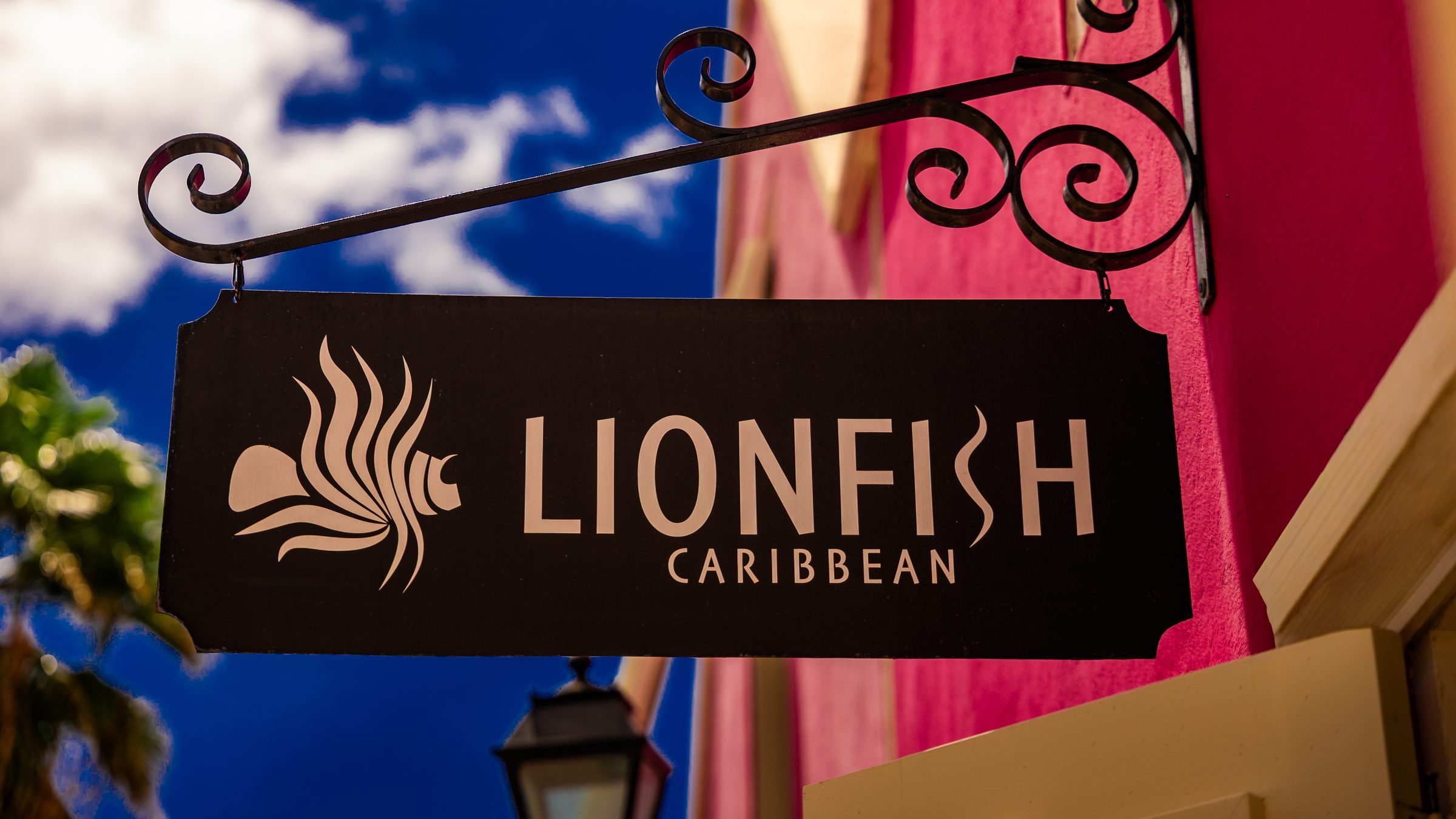LIONFISH CARIBBEAN photo 9