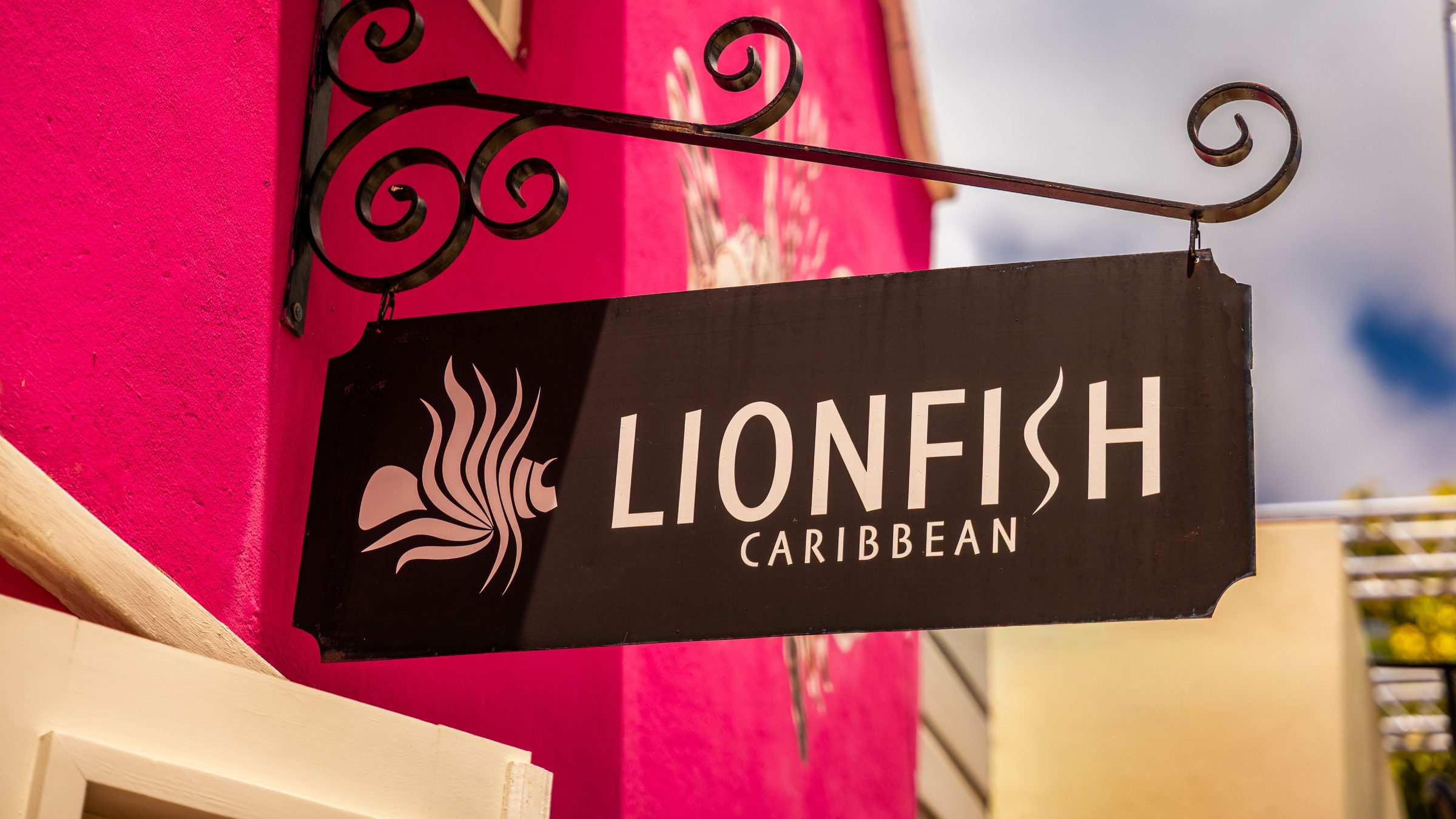 LIONFISH CARIBBEAN photo 17