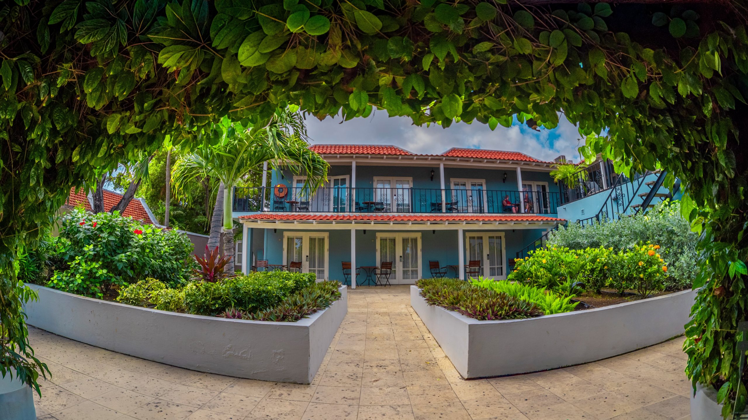 KURA BOTANICA photo 18
